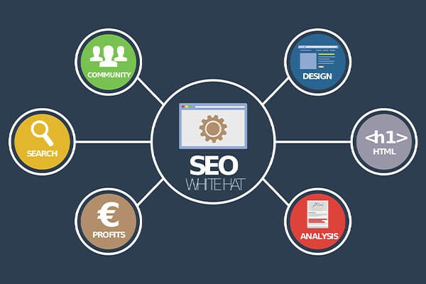 seo services in kenya